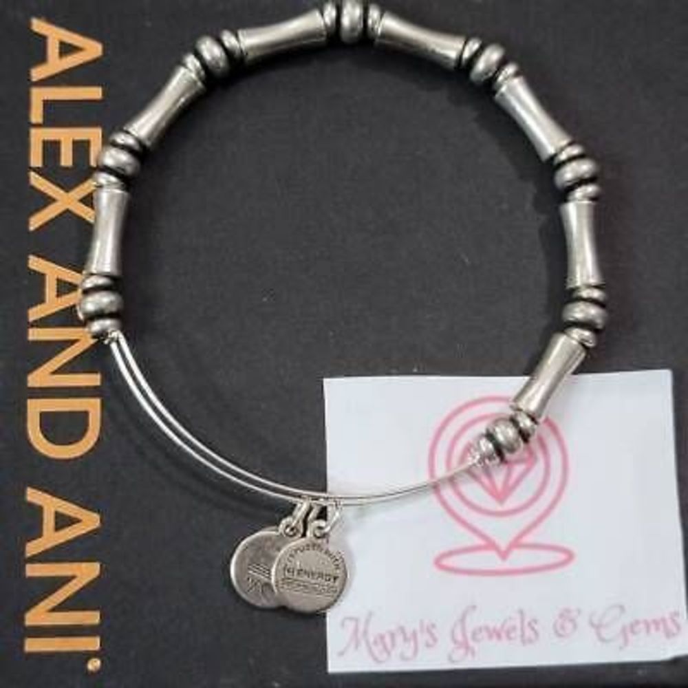 Alex and Ani bamboo metal bead bracelet
